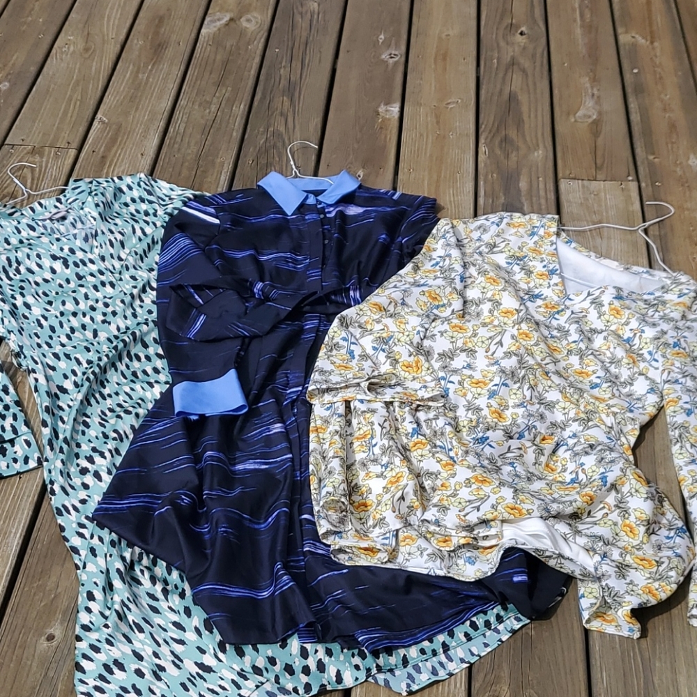 Long sleeve tunics/dresses